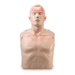 Brayden Adult CPR Manikin